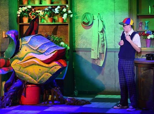 Seymour and Audrey plant from Little Shop