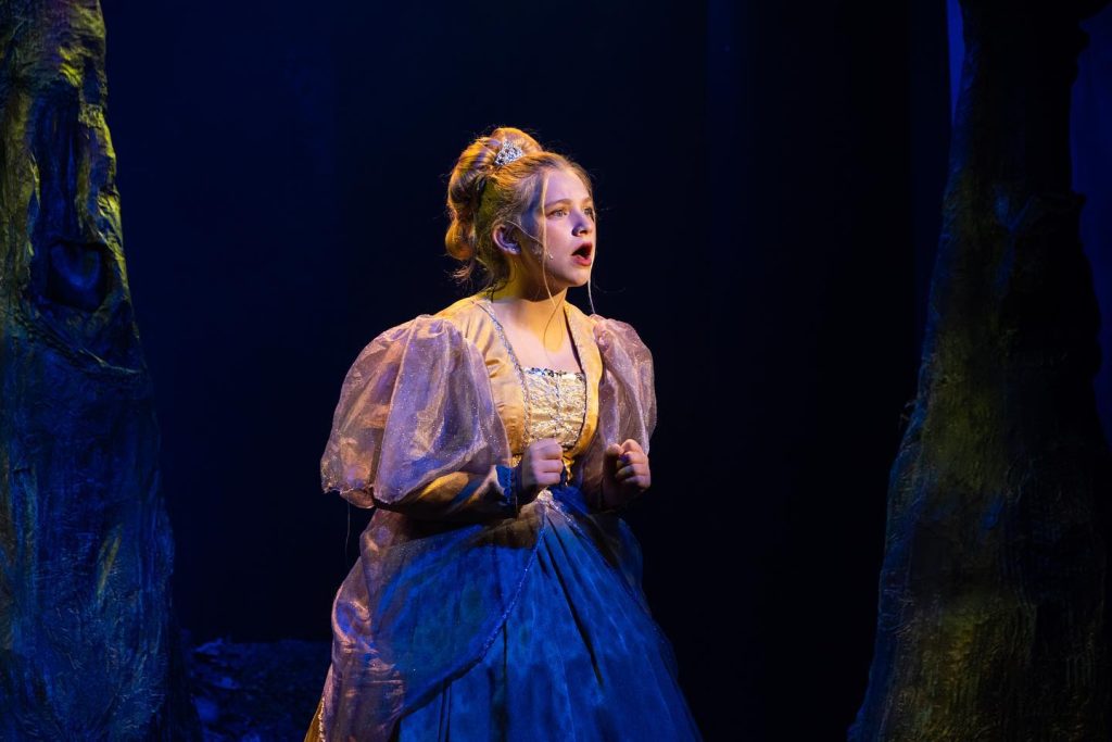 Cinderella from Into the Woods singing 